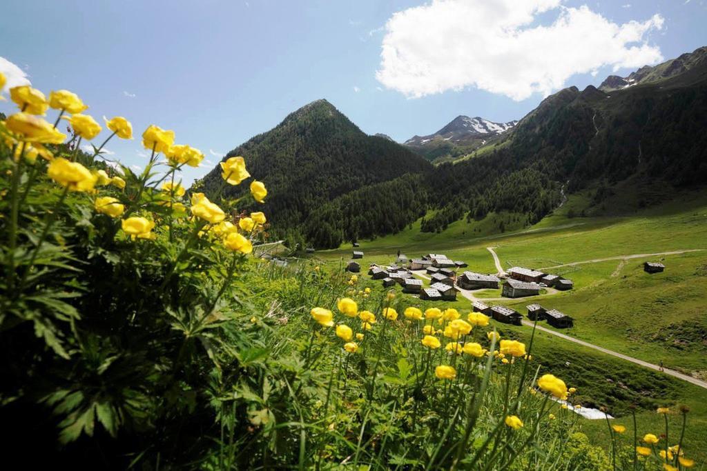 Falkensteiner Hotel & Spa Falkensteinerhof ヴァレス エクステリア 写真
